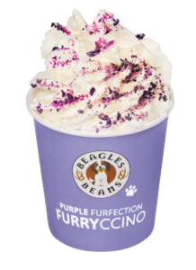 Purple Furfection Furryccino