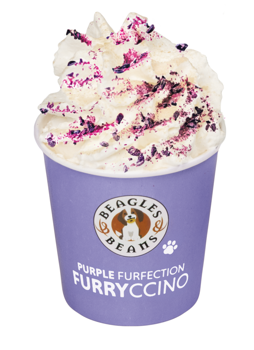 Purple Furfection Furryccino